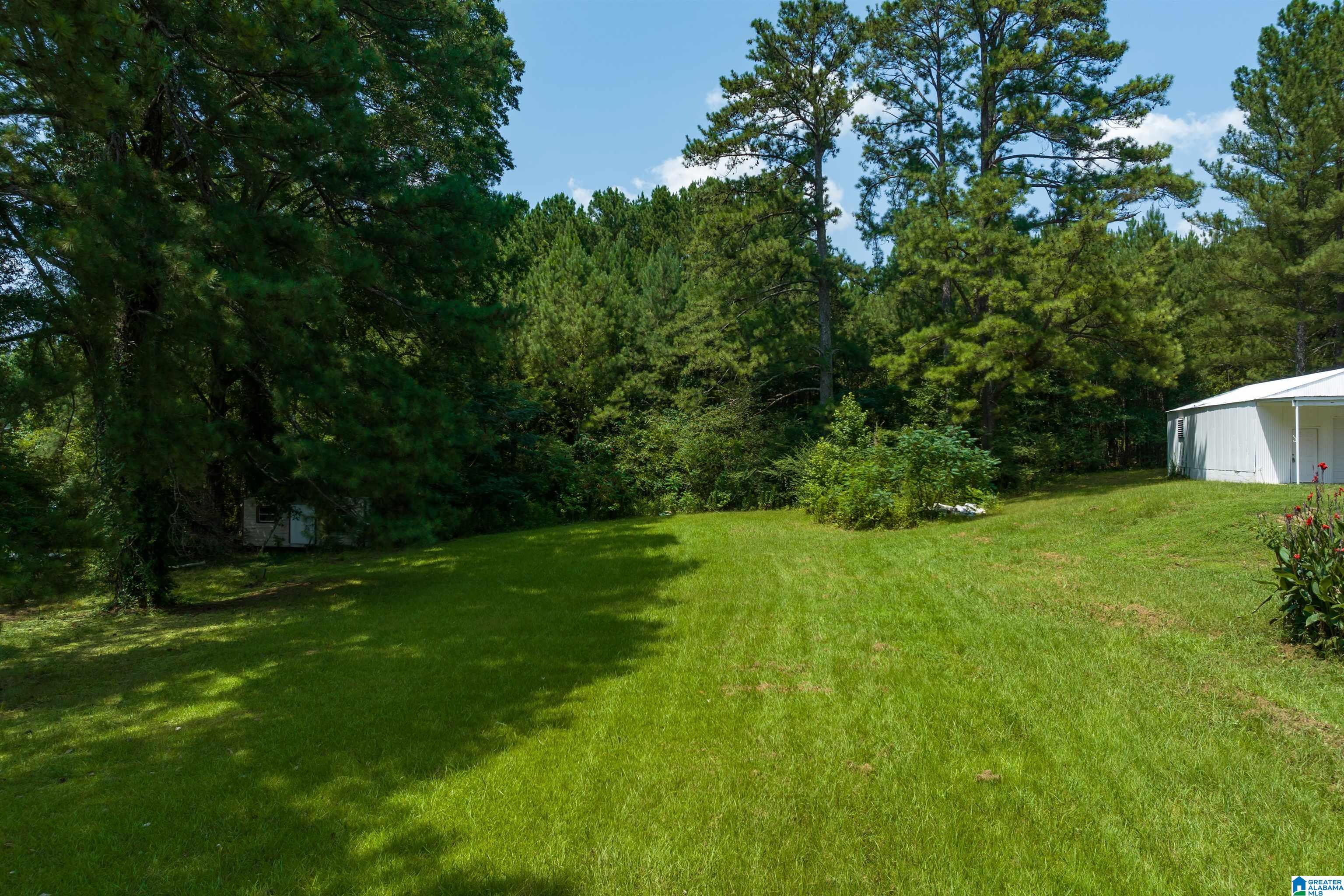 1661 New Bethel School Road Warrior, AL 35180 - Photo 31 of 37