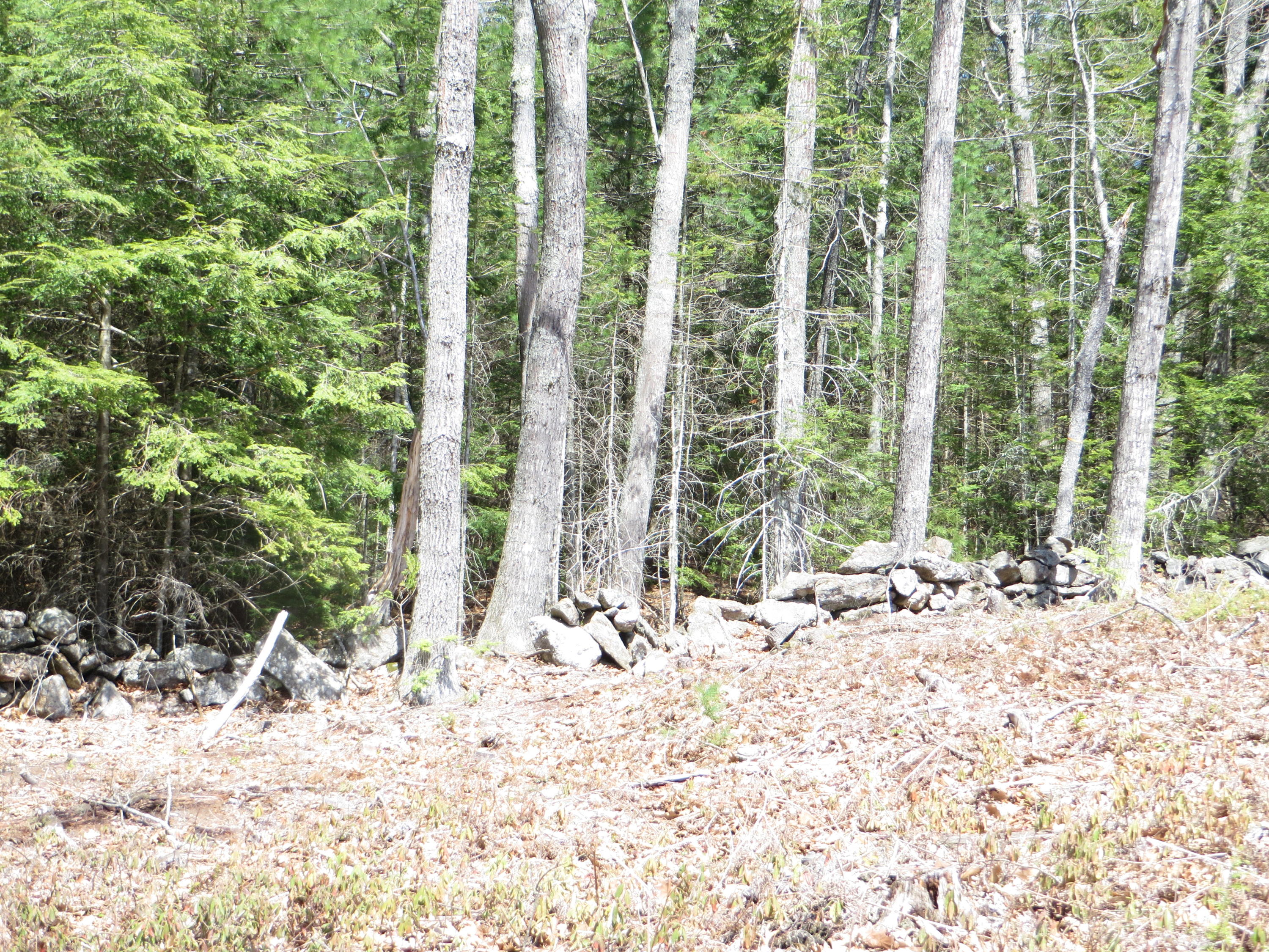 Lot57-10 Winterberry Road West Bath, ME 04530 - Photo 17 of 24 15
