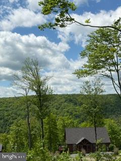 North Camp Road McHenry, MD 21541 - Photo 12 of 16