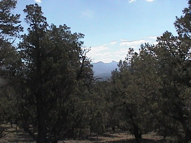 Tbd Pleasant Point Drive Ridgway, CO 81432 - Photo 4 of 5 Additional Photo