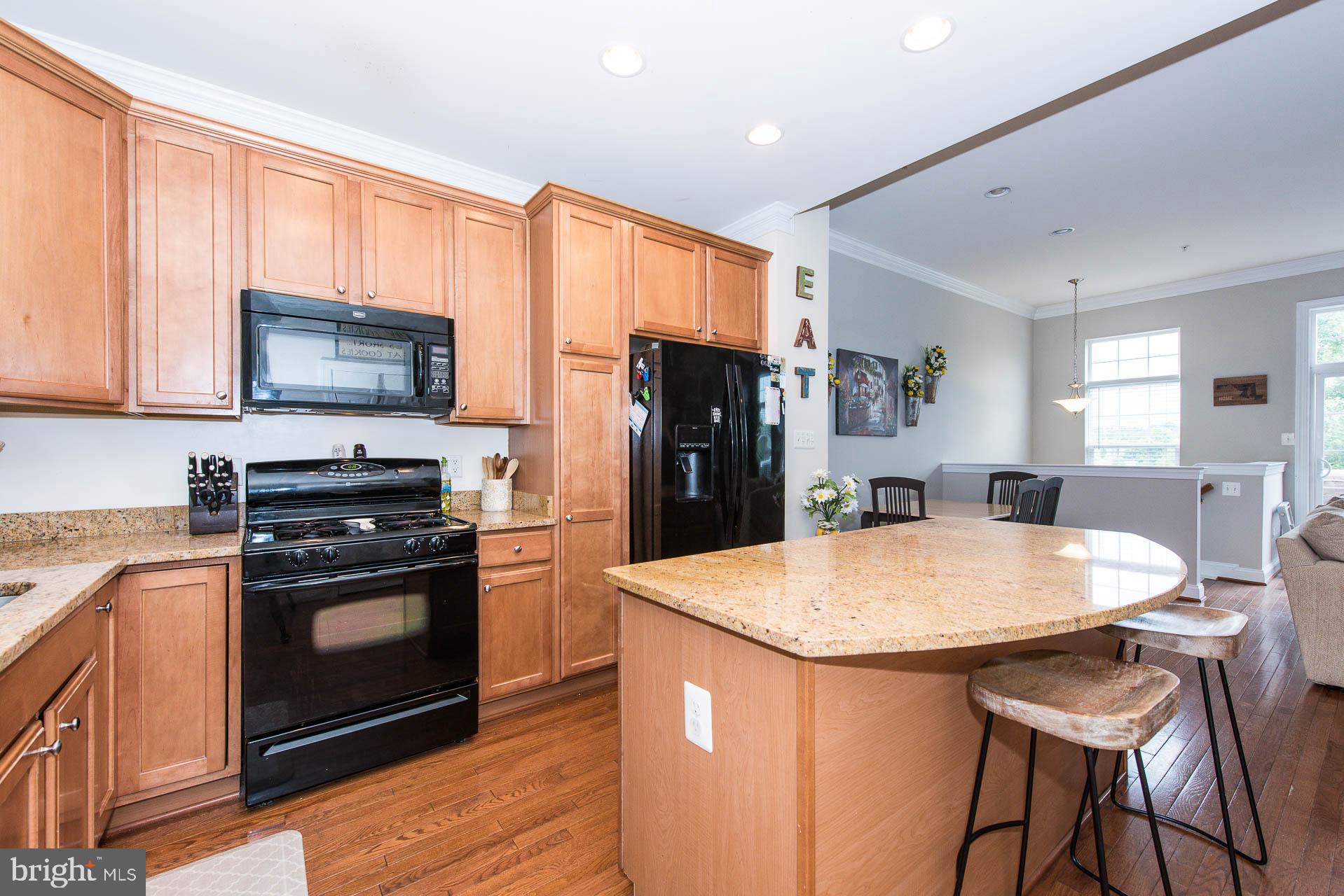 1113 Spring Run Court Frederick, MD 21702 - Photo 17 of 55 Gallery Image 17