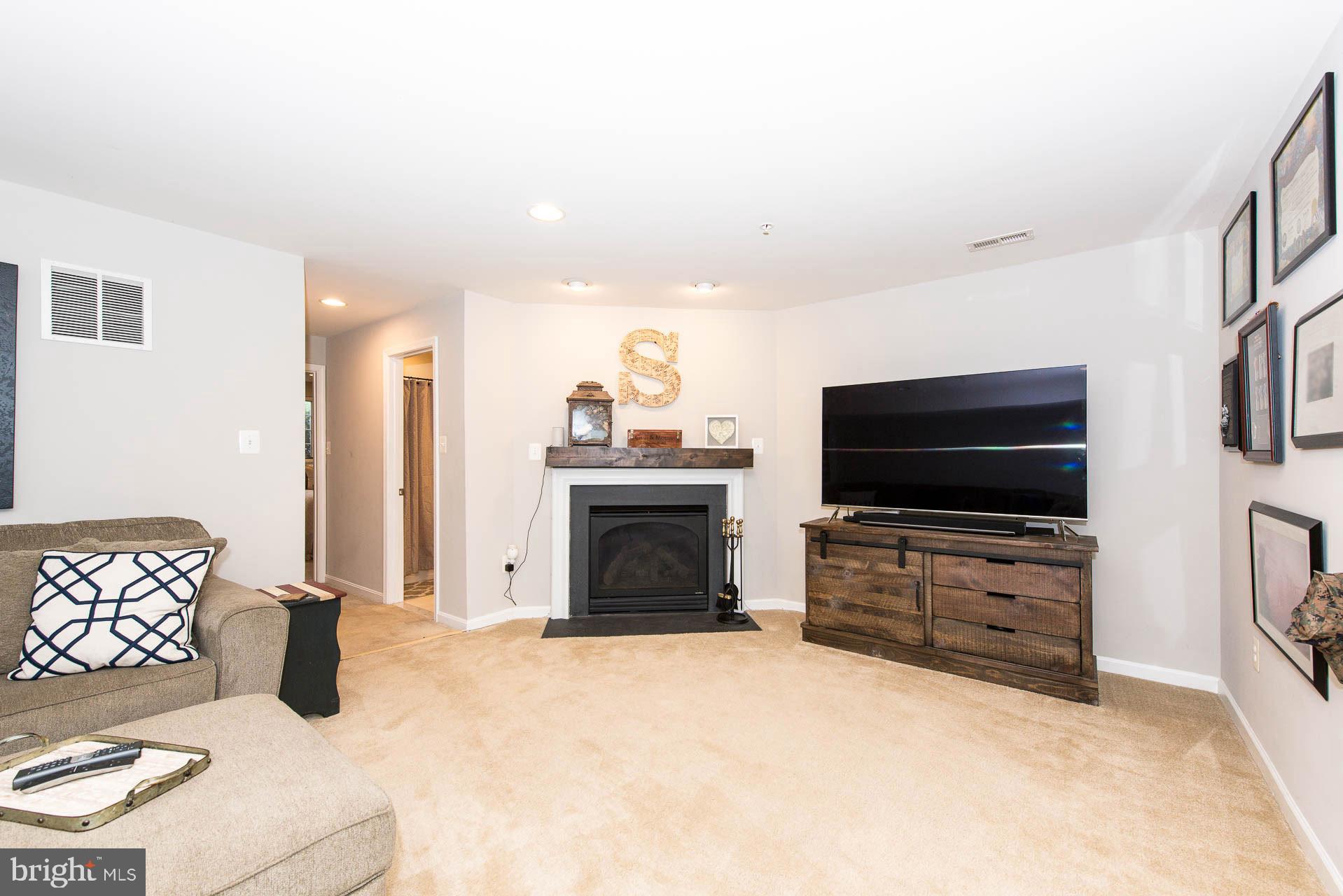 1113 Spring Run Court Frederick, MD 21702 - Photo 45 of 55 Gallery Image 45