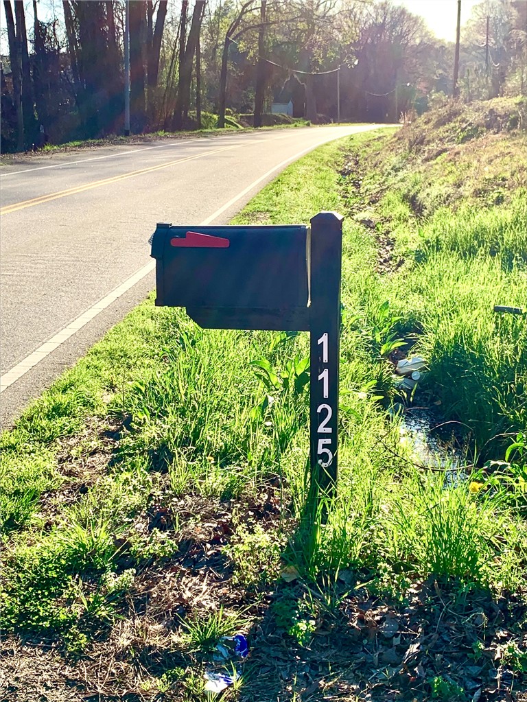 1125 Cambridge St Extension Abbeville, SC 29620 - Photo 4 of 7 A roadside mailbox stands amidst lush greenery, with a winding road stretching into the distance.