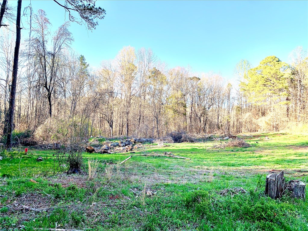 1125 Cambridge St Extension Abbeville, SC 29620 - Photo 5 of 7 Expansive green landscape awaits your vision, bordered by natural wooded surroundings.