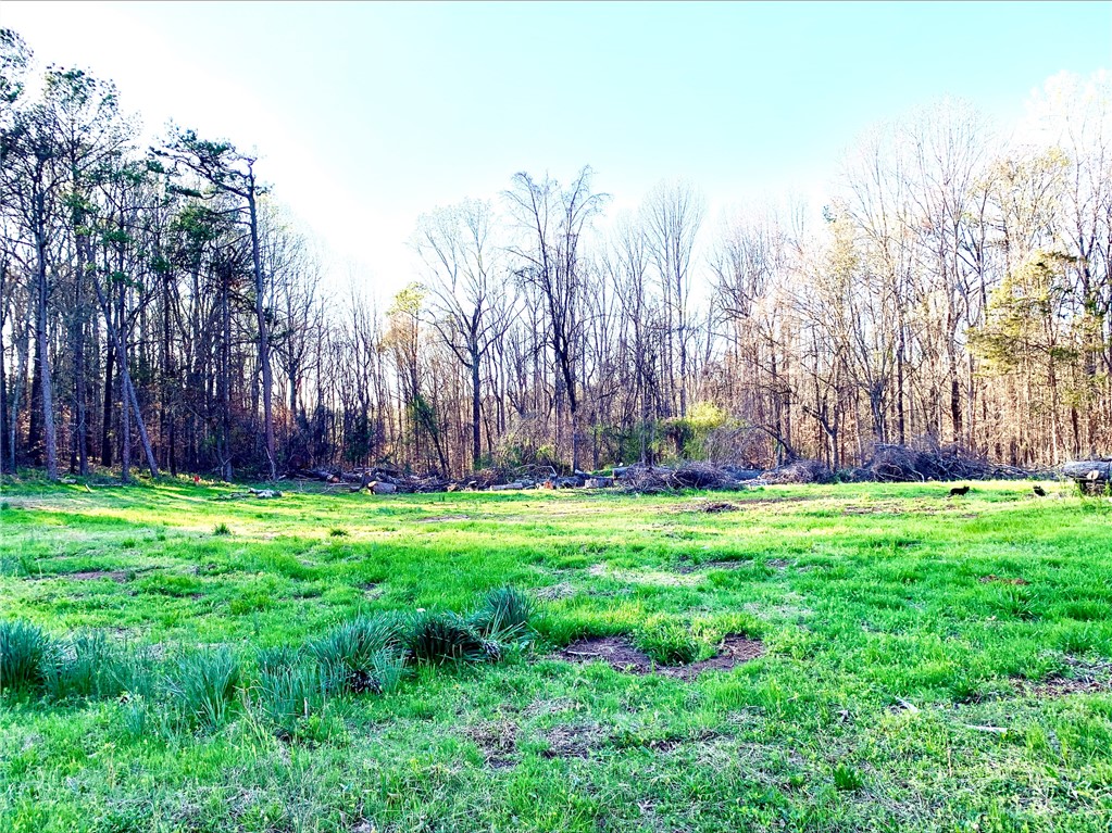1125 Cambridge St Extension Abbeville, SC 29620 - Photo 6 of 7 A spacious lot with verdant grass surrounded by a lush forest, offering a serene environment.