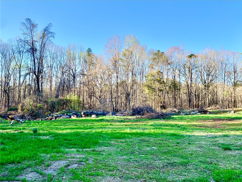 1125 Cambridge St Extension Abbeville, SC 29620 - Photo 7 of 7 This expansive lot features mature trees and a vibrant green space, ideal for a custom-built residence.