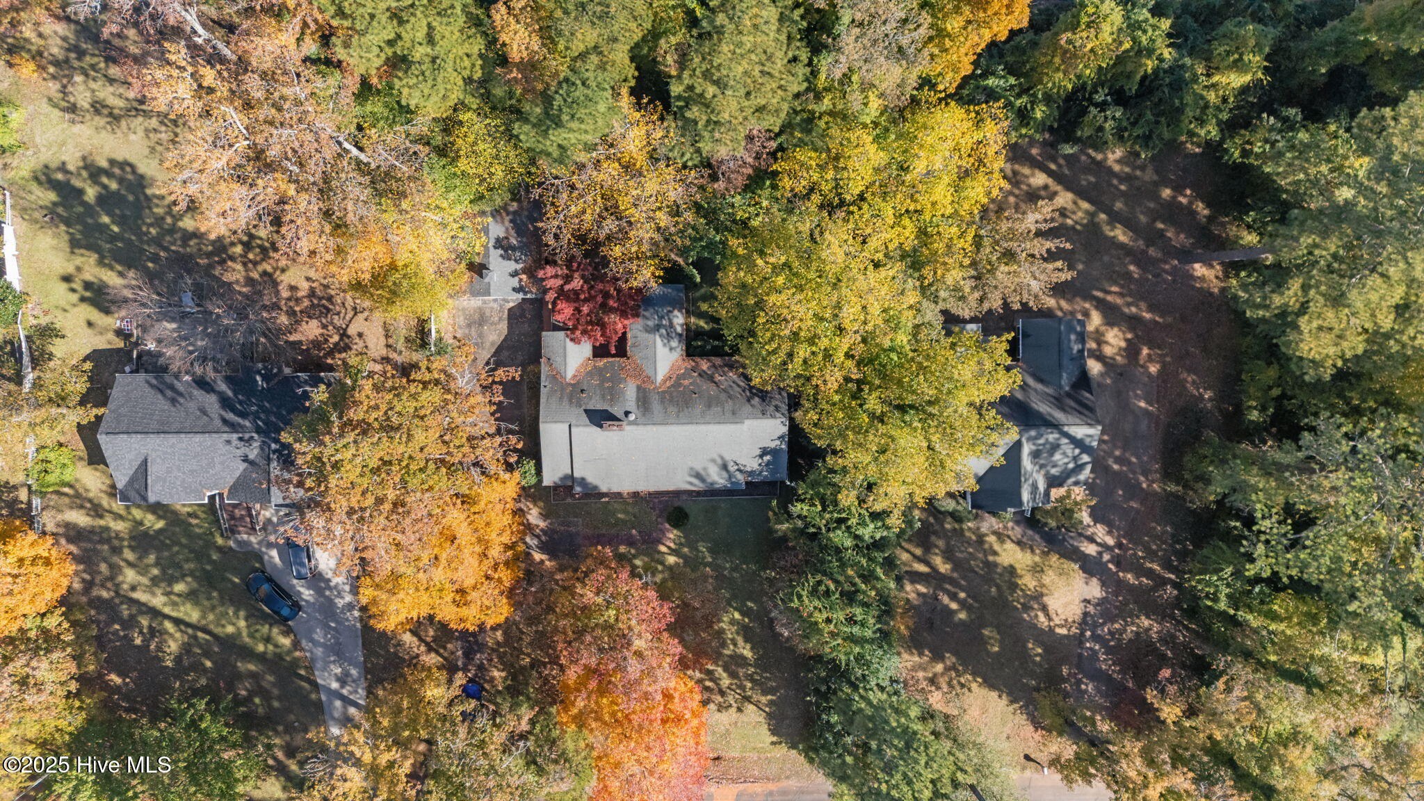 1615 Plum Nelly Road Rockingham, NC 28379 - Photo 46 of 51 49-web-or-mls-DJI_20231205114747_0399_D