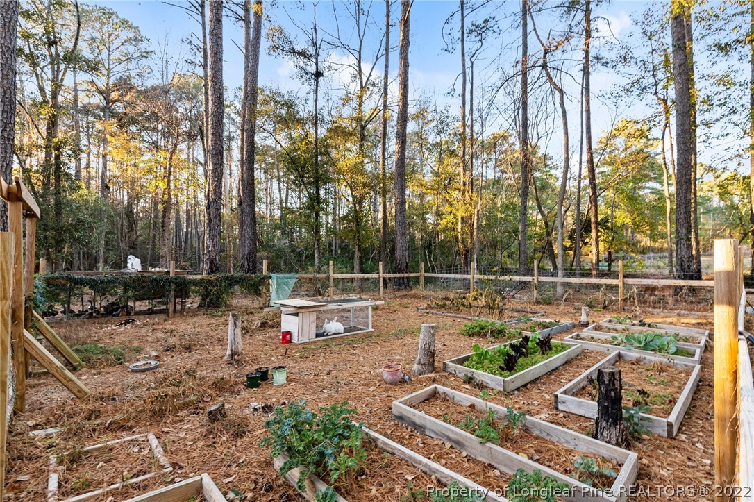 811 Myra Road Raeford, NC 28376 - Photo 11 of 43 Gallery Image 11