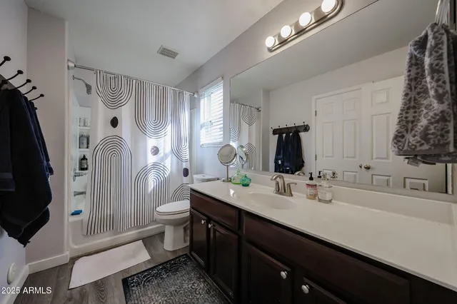 a bathroom with a sink a toilet a shower and a mirror