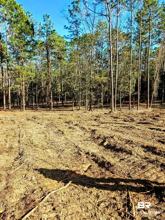 $99,500 | 11040 County Road 138, Bay Minette, AL 36507
