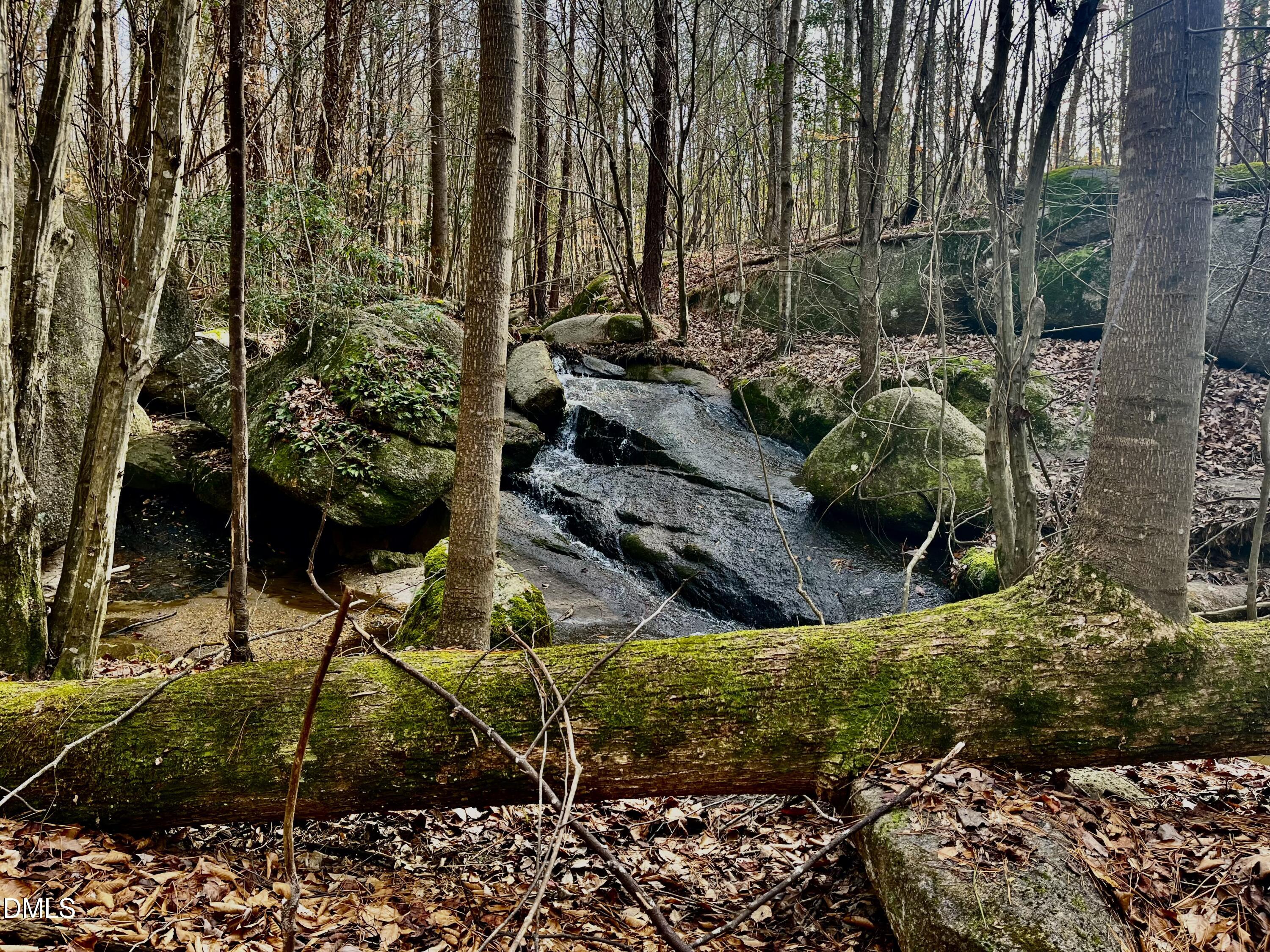 9035 New Sandy Hill Church Road Middlesex, NC 27557 - Photo 37 of 45 CREEK ON PROPERTY