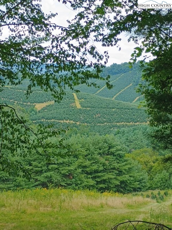 Elk Knob Road Laurel Springs, NC 28644 - Photo 5 of 9 Gallery Image 5