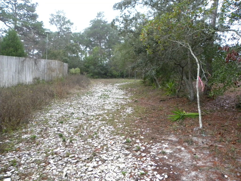 Lot 3 East Pinewood Ln Inlet Beach Inlet Beach, FL 32461 - Photo 8 of 9 Gallery Image 8