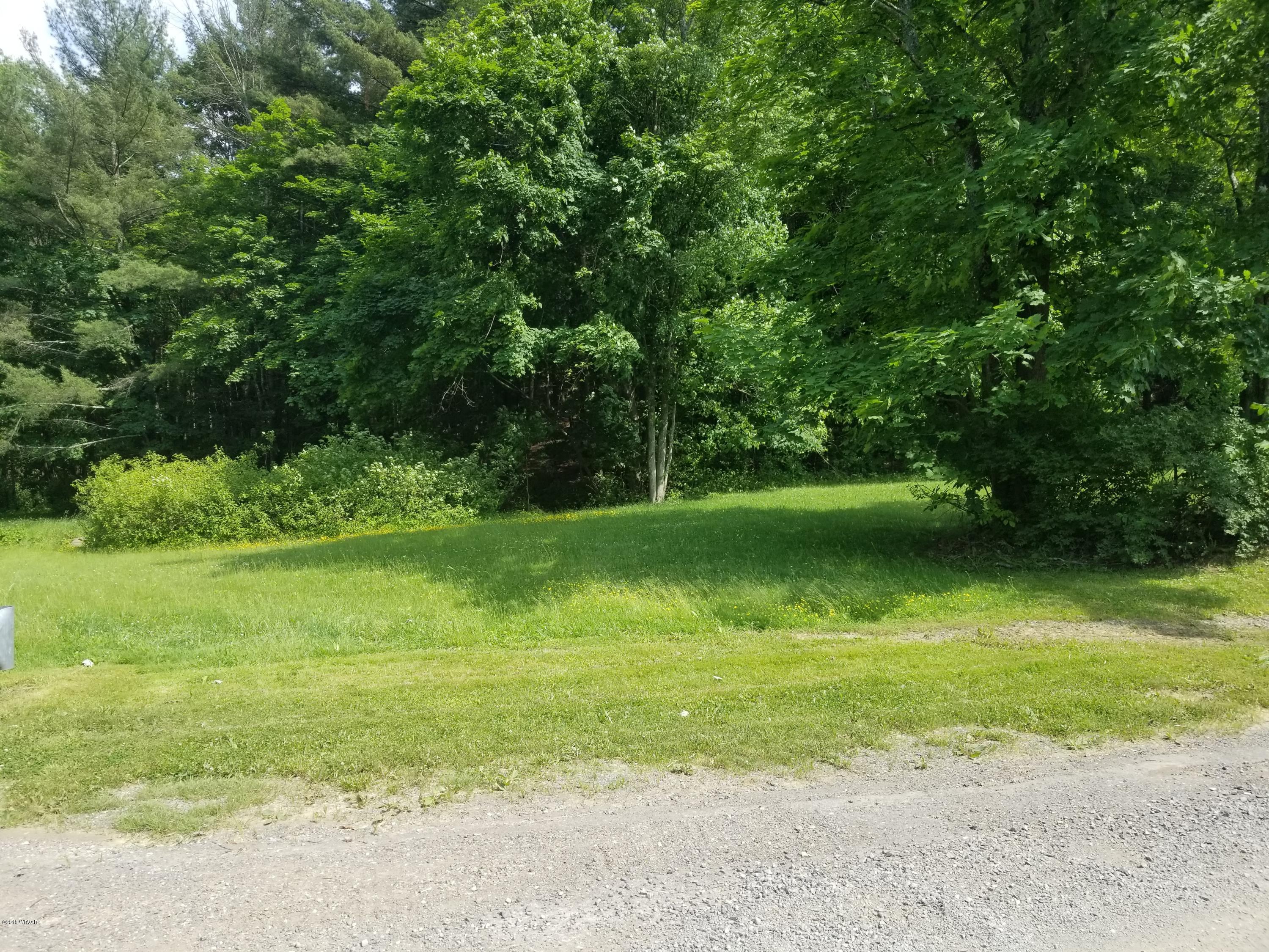 0 Sholder Road Williamsport, PA 17701 - Photo 2 of 7 bottlelandaccess