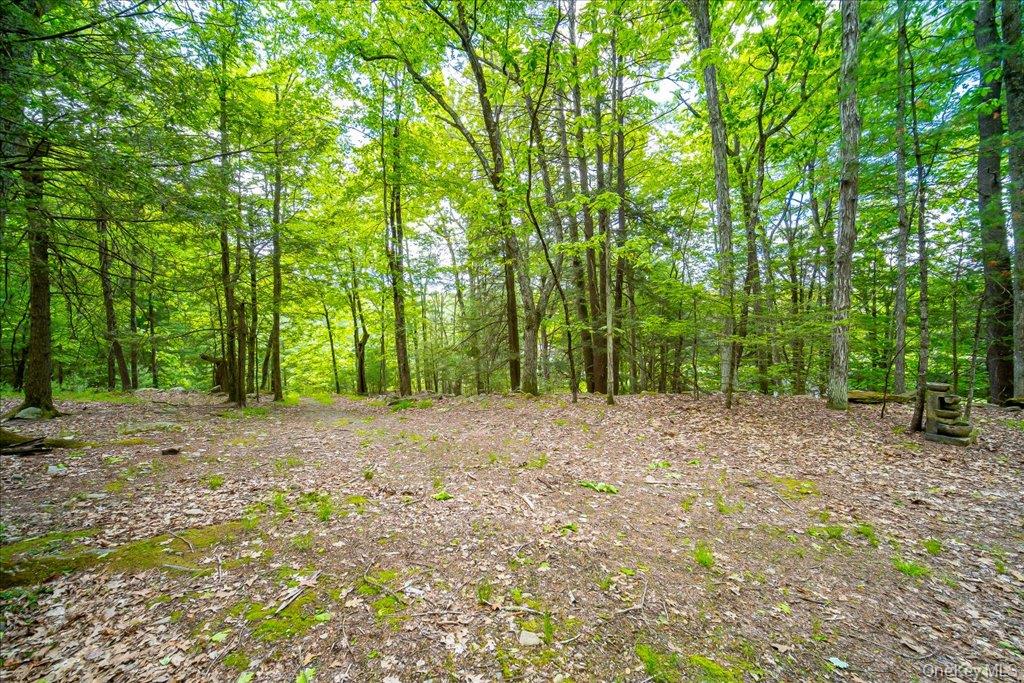 101 Red Star Road Greenfield Park, NY 12435 - Photo 31 of 50