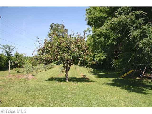1421 Ritters Lake Road Greensboro, NC 27406 - Photo 15 of 16 Yard/Garden. Blueberry Orchard