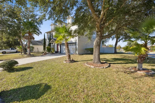 a view of yard with tree