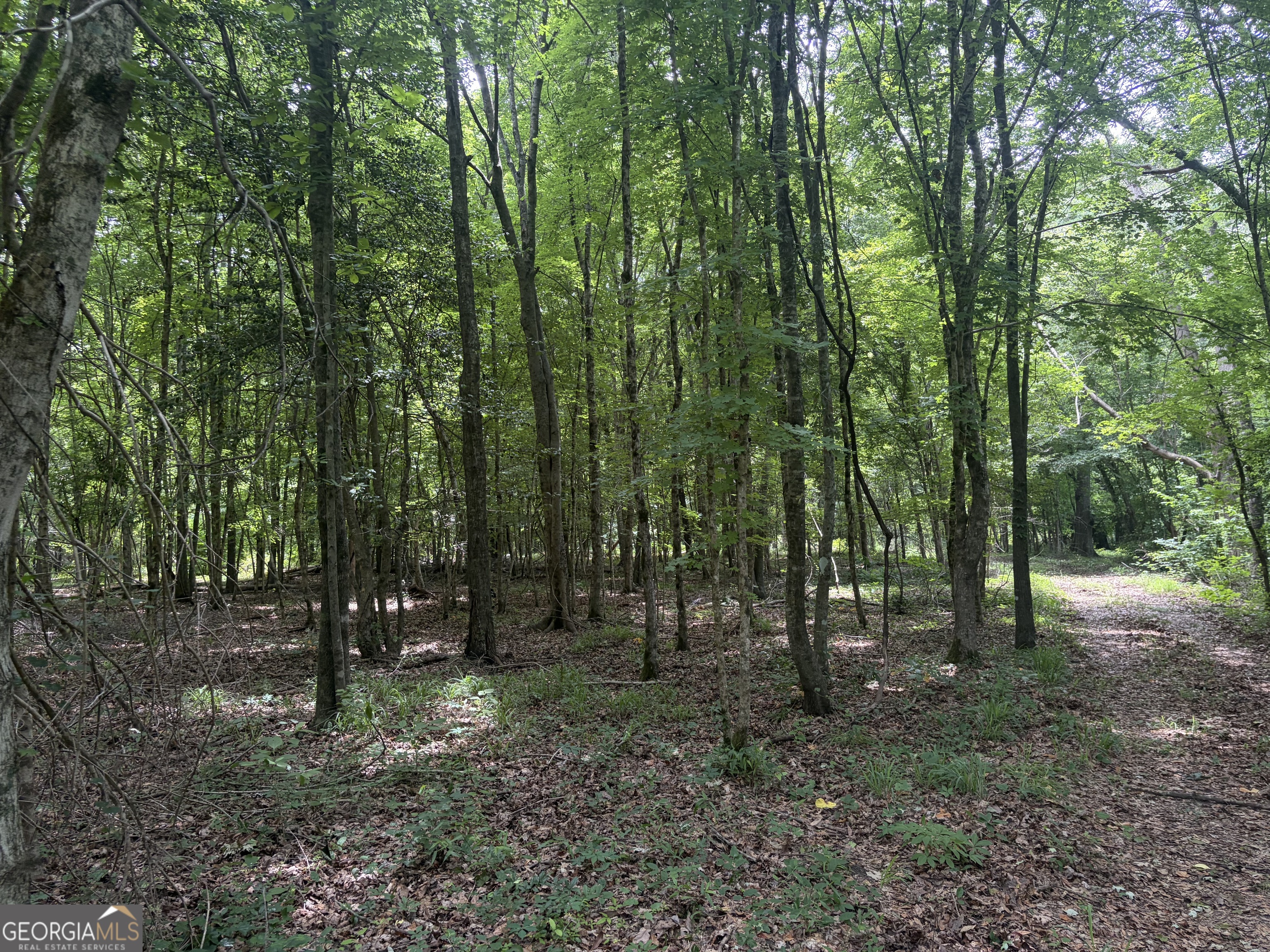 3 Sunhill Grange Road Sandersville, GA 31018 - Photo 2 of 11