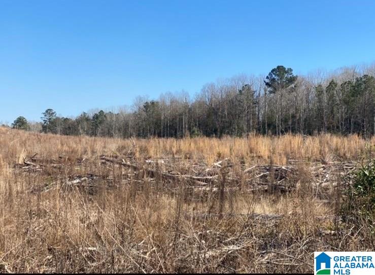 0 County Road 16 Clanton, AL 35045 - Photo 3 of 3