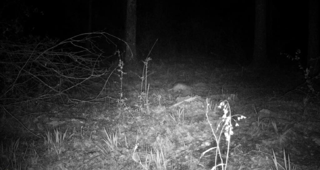 1411 Vz County Road 2139 Wills Point, TX 75169 - Photo 22 of 38