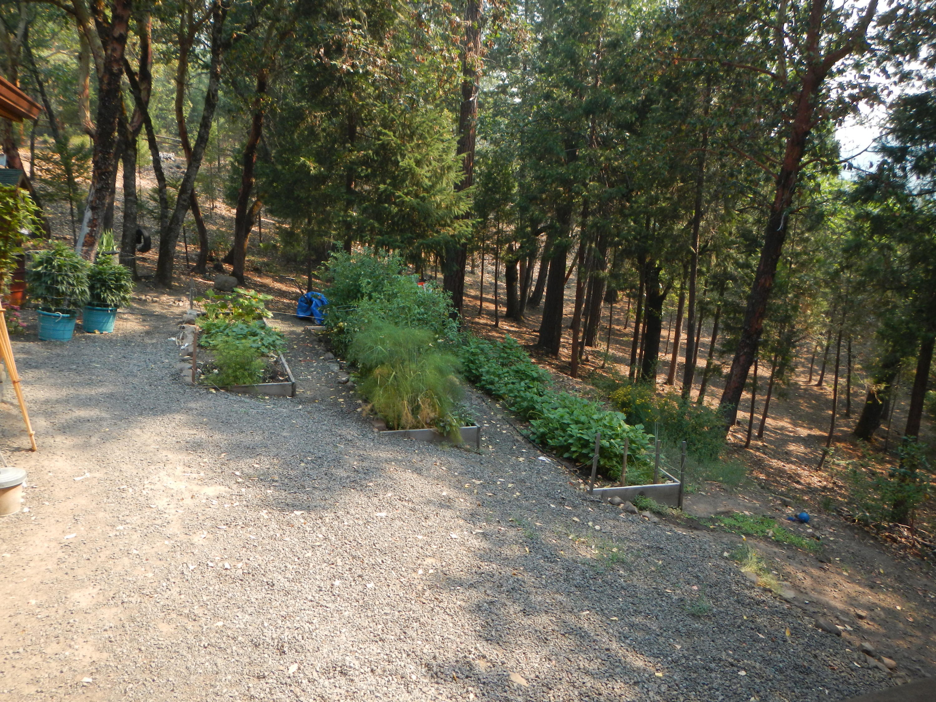 161 River Heights Road Trail, OR 97541 - Photo 14 of 20 DSCN6578