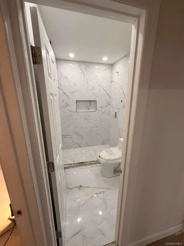 a bathroom with a shower and a toilet