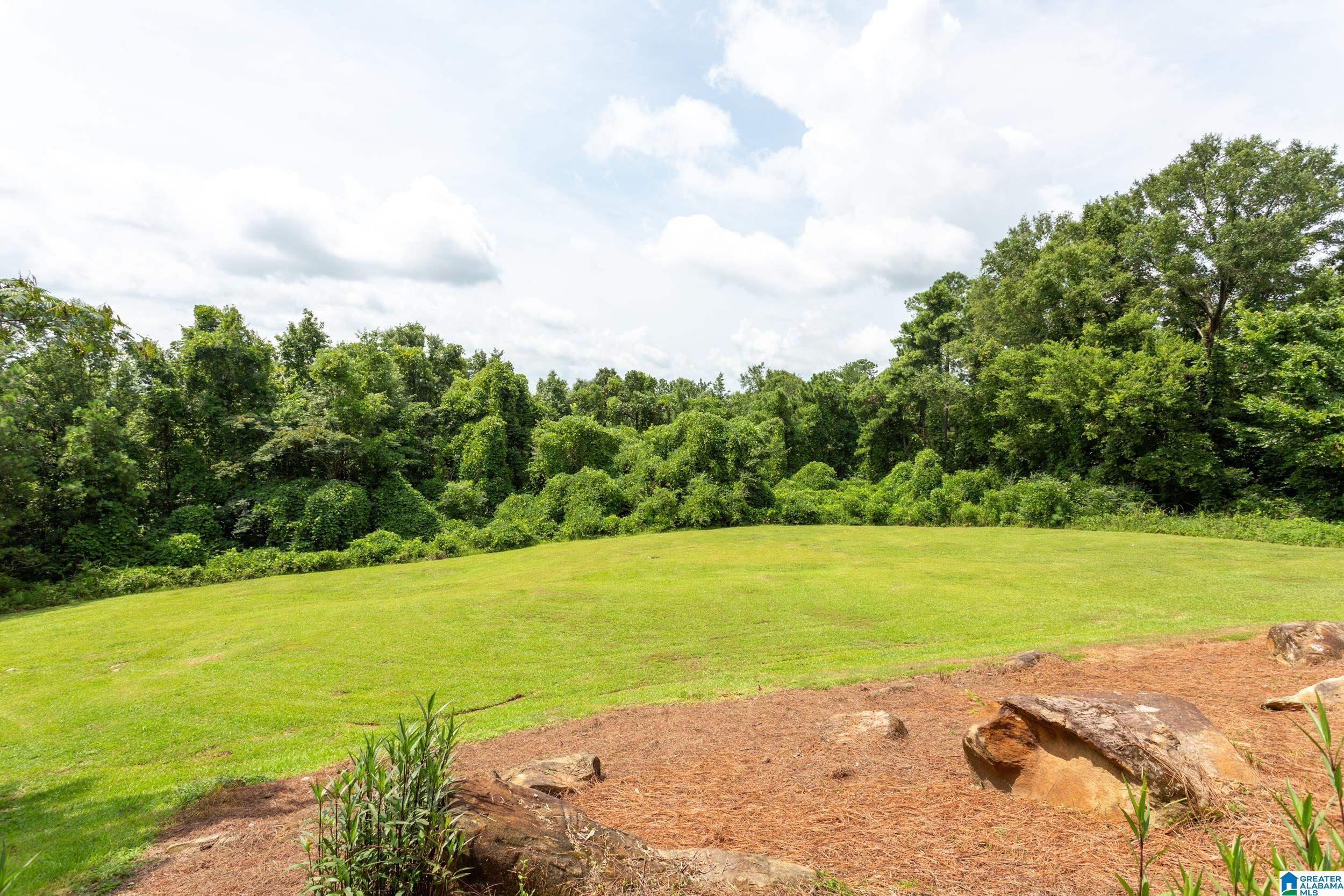 908 Hillyer High Road Anniston, AL 36207 - Photo 49 of 66