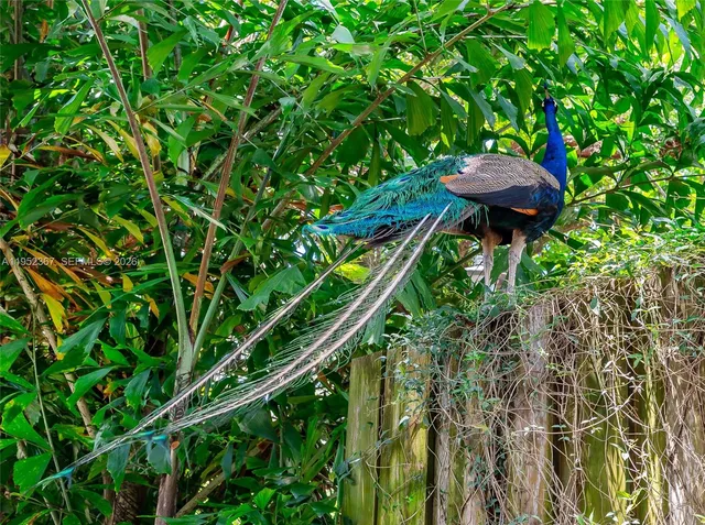 $5,700 | 3569 Avocado Avenue, Coconut Grove, FL 33133