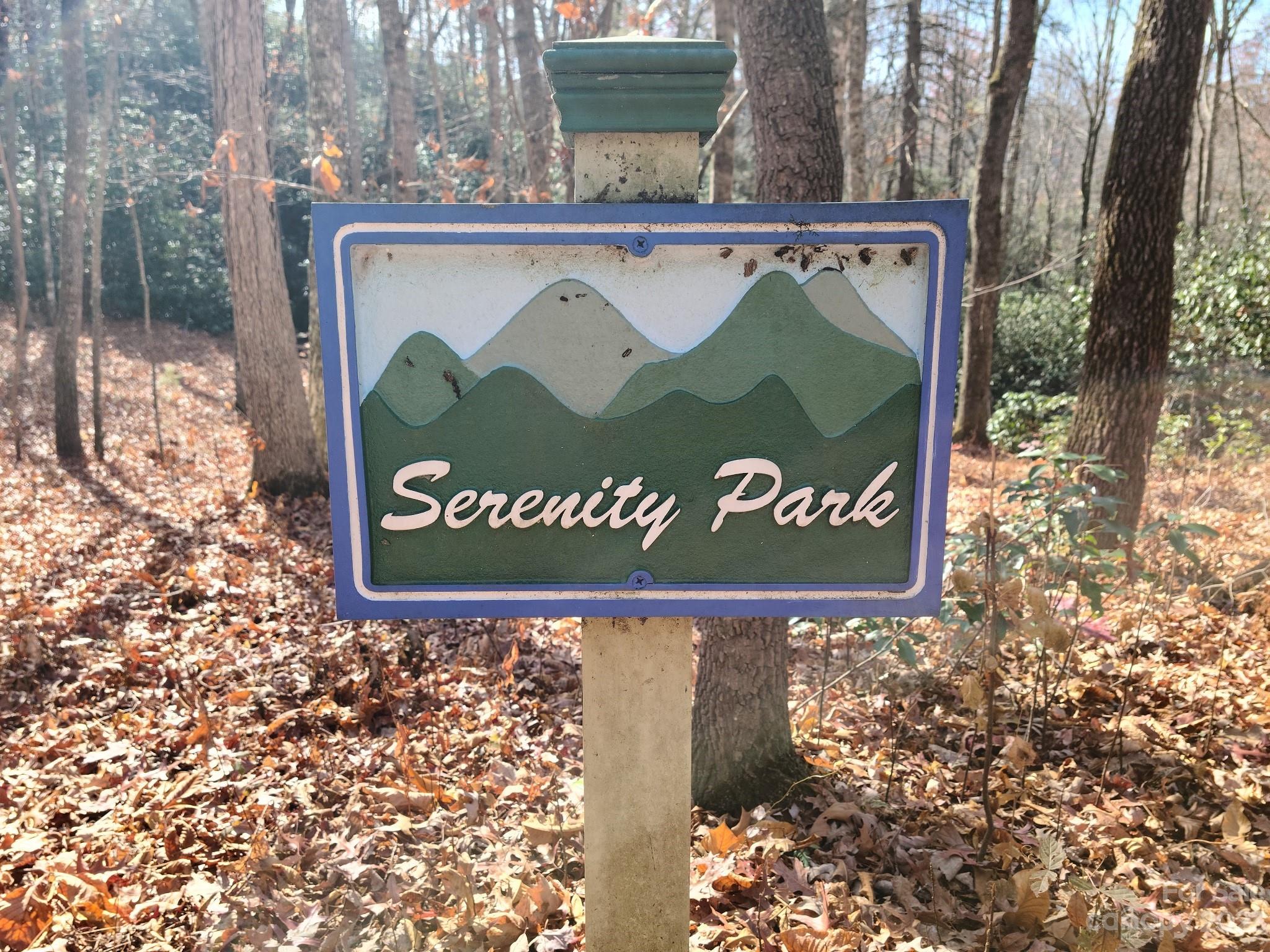 0 Blue Vista Road, Unit 2 Canton, NC 28716 - Photo 11 of 12