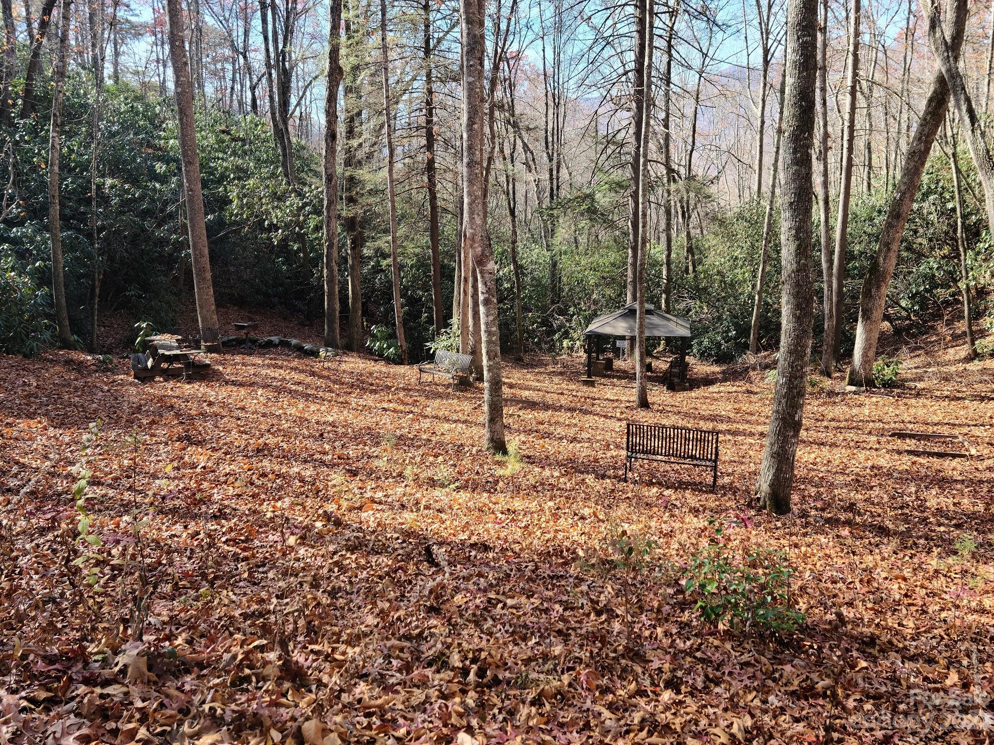 0 Blue Vista Road, Unit 2 Canton, NC 28716 - Photo 12 of 12