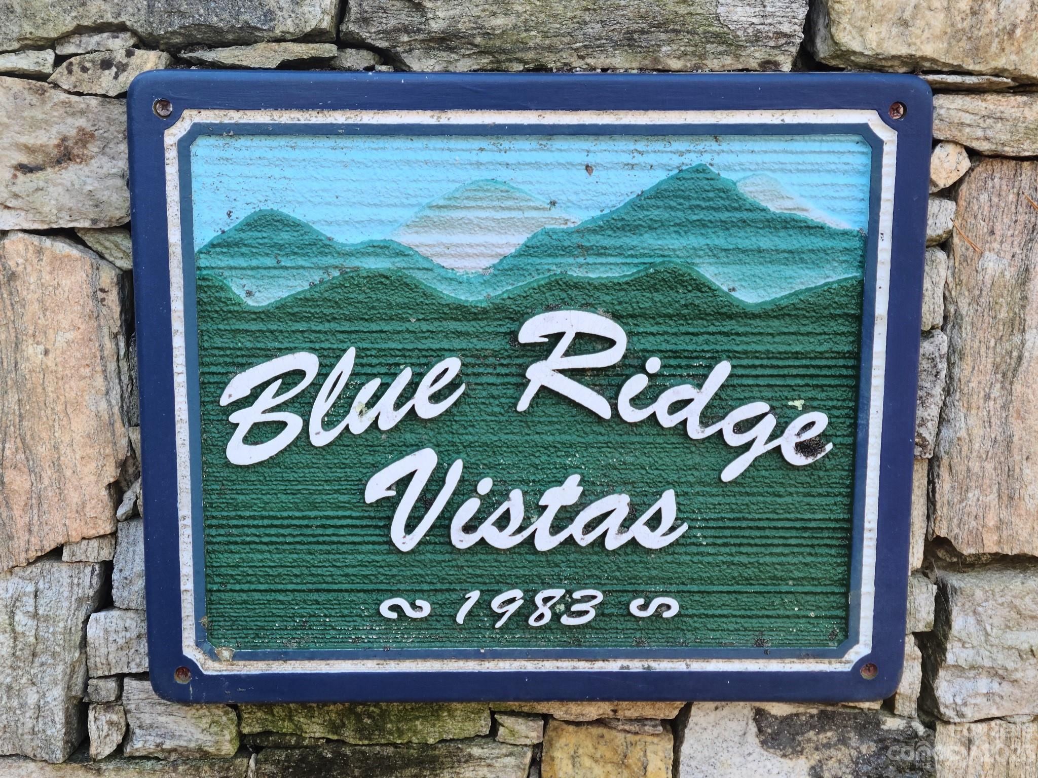 0 Blue Vista Road, Unit 2 Canton, NC 28716 - Photo 3 of 12