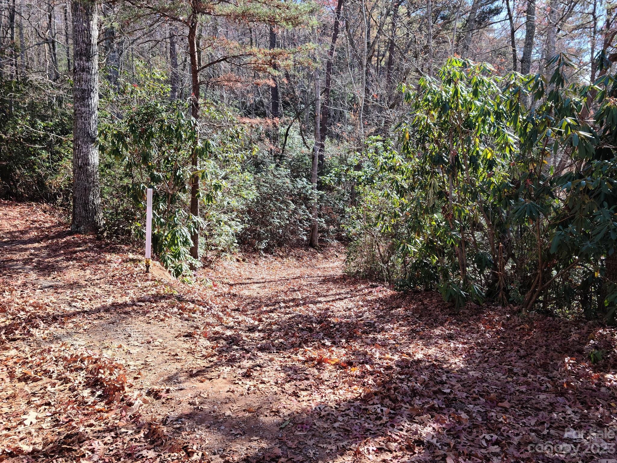 0 Blue Vista Road, Unit 2 Canton, NC 28716 - Photo 4 of 12