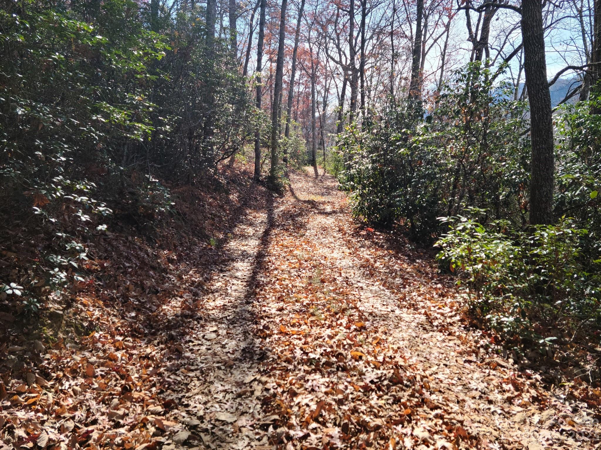 0 Blue Vista Road, Unit 2 Canton, NC 28716 - Photo 5 of 12