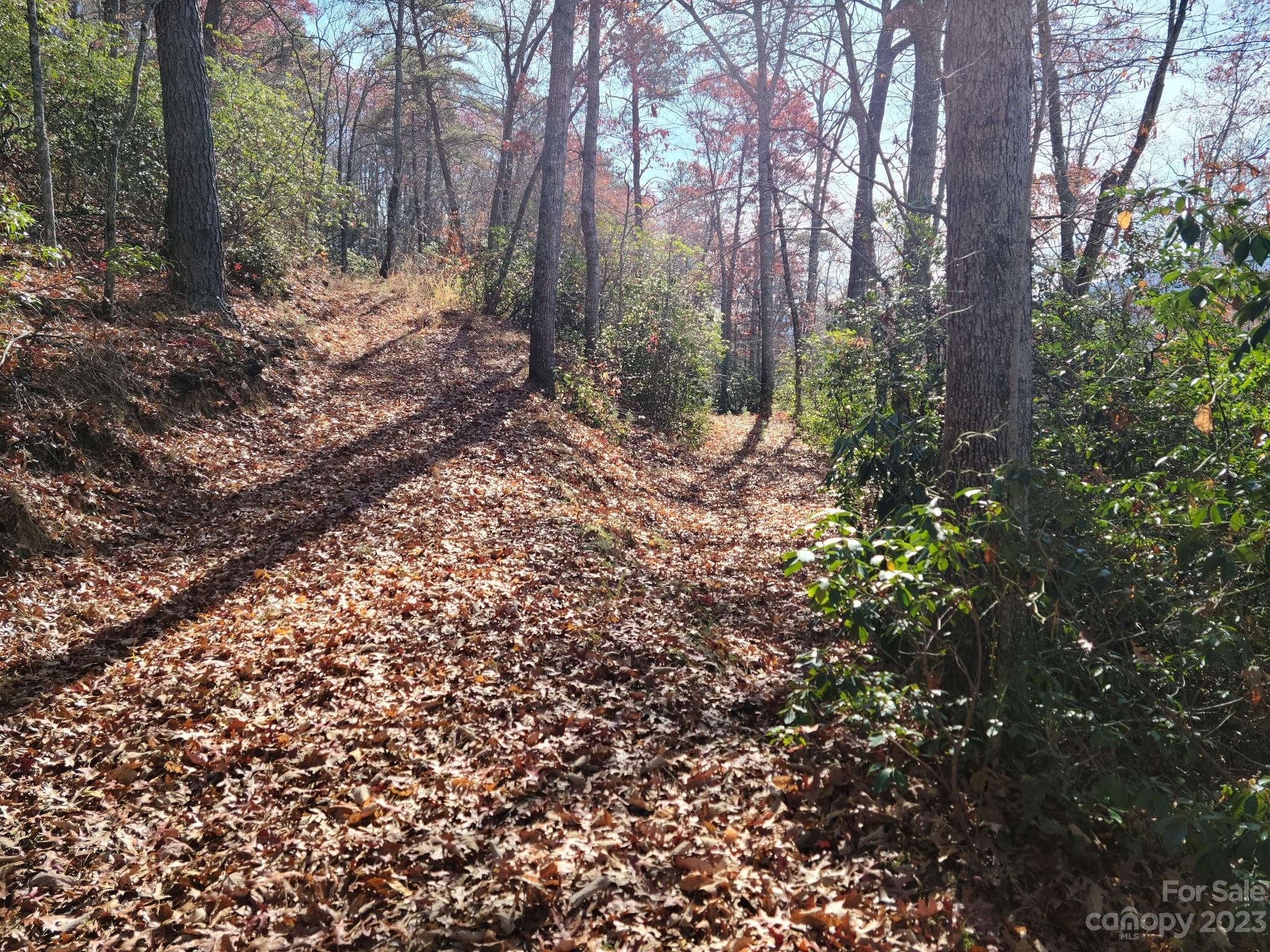 0 Blue Vista Road, Unit 2 Canton, NC 28716 - Photo 6 of 12