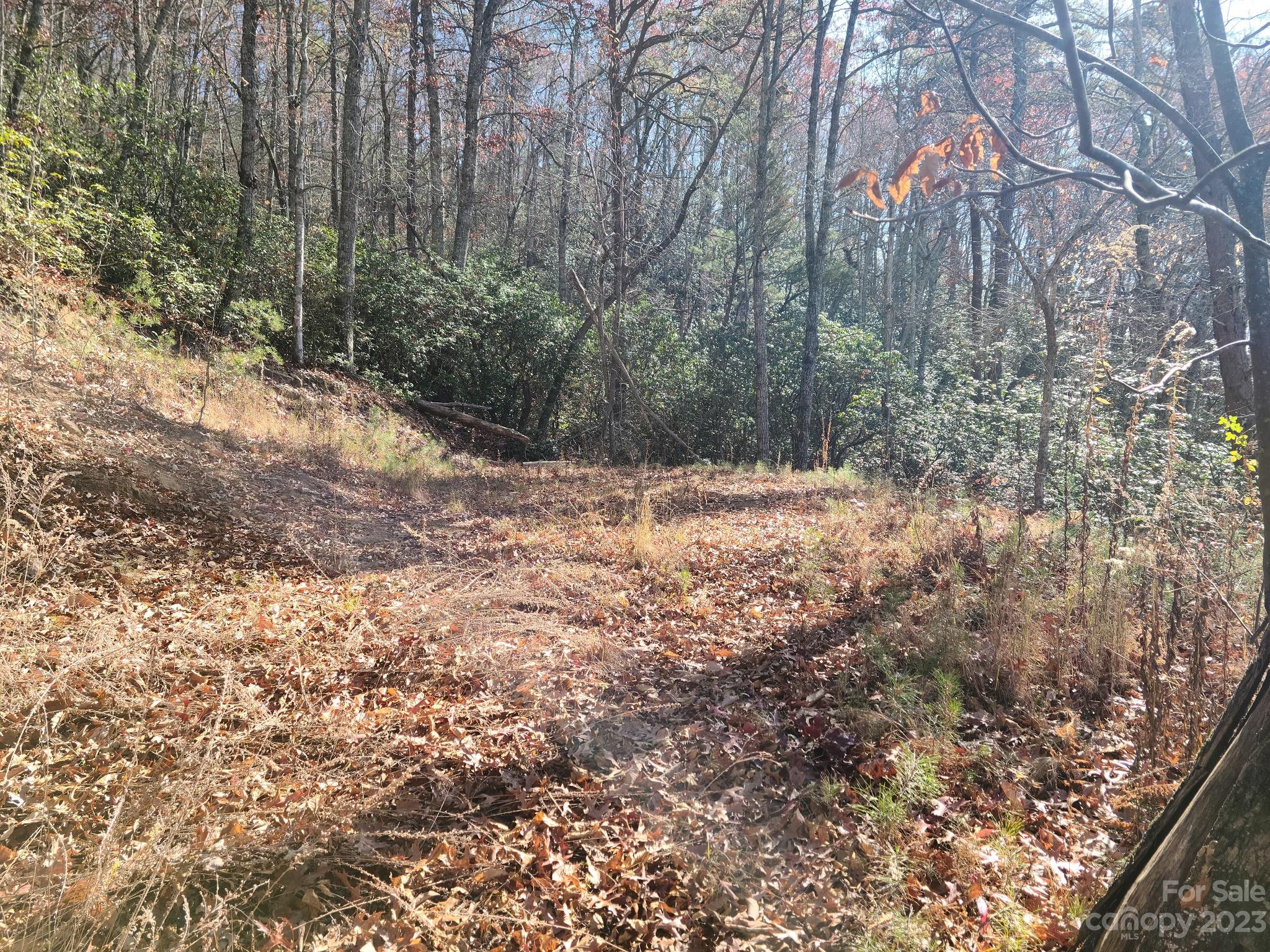 0 Blue Vista Road, Unit 2 Canton, NC 28716 - Photo 7 of 12