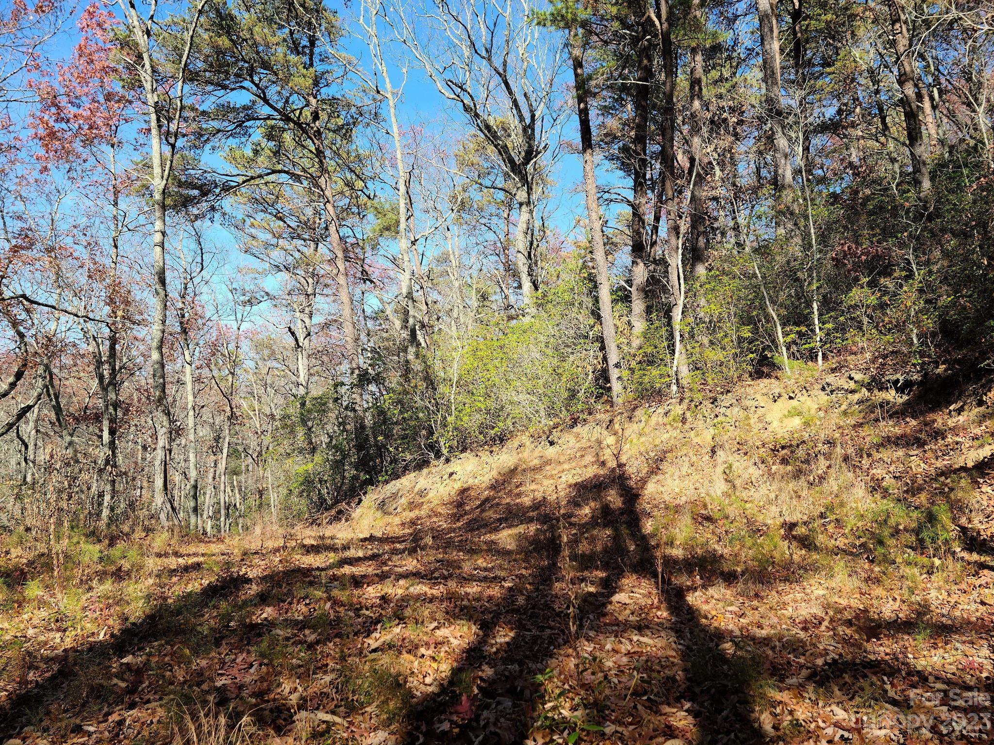 0 Blue Vista Road, Unit 2 Canton, NC 28716 - Photo 8 of 12