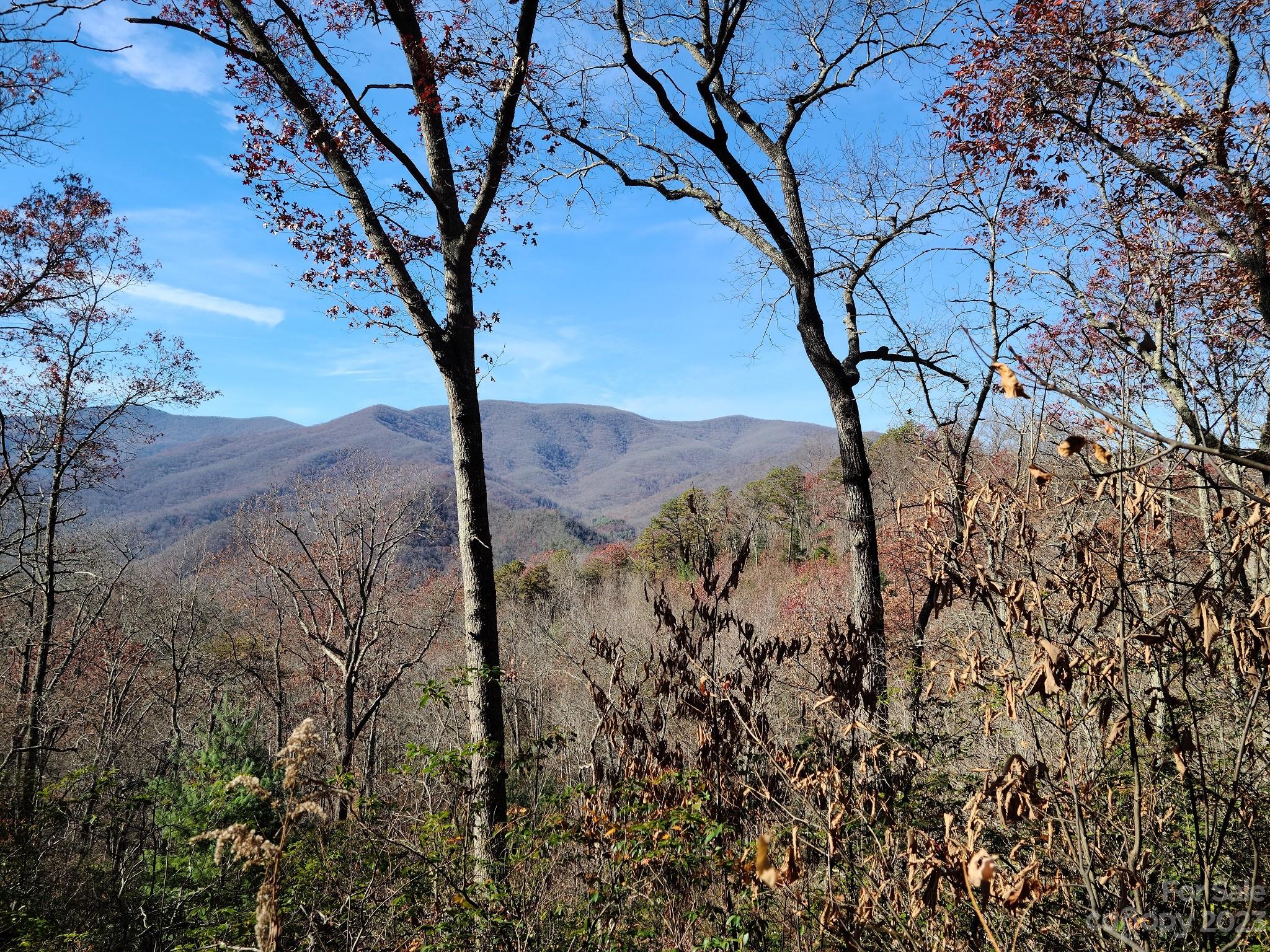 0 Blue Vista Road, Unit 2 Canton, NC 28716 - Photo 9 of 12