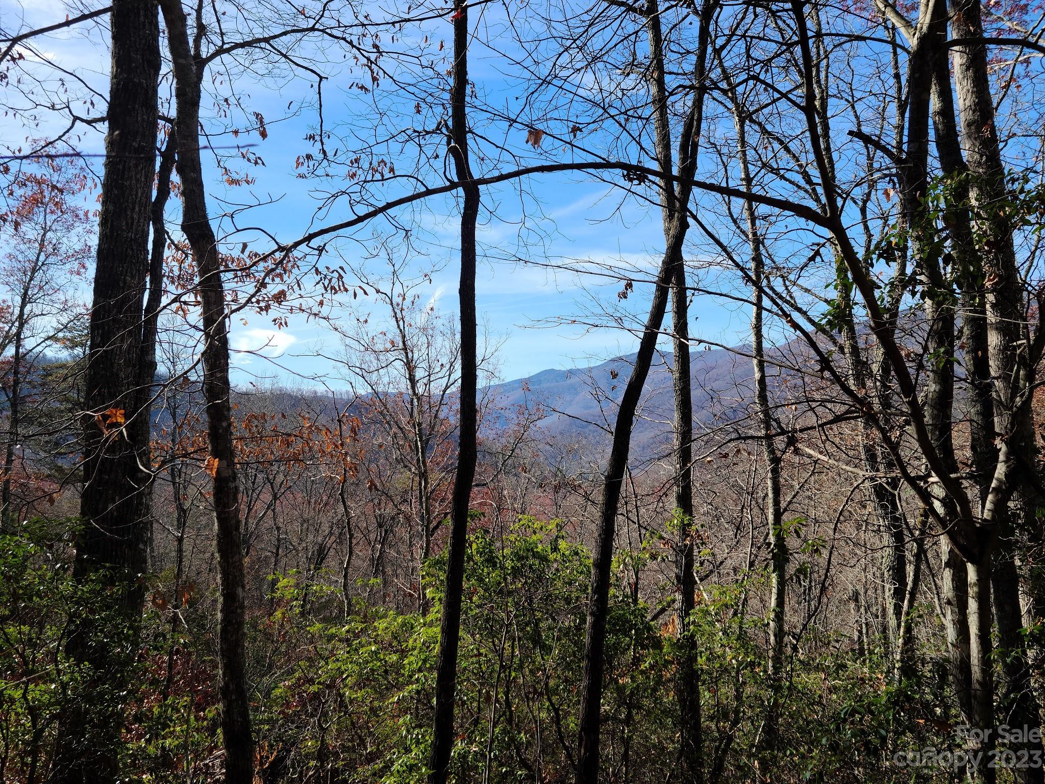 0 Blue Vista Road, Unit 2 Canton, NC 28716 - Photo 10 of 12