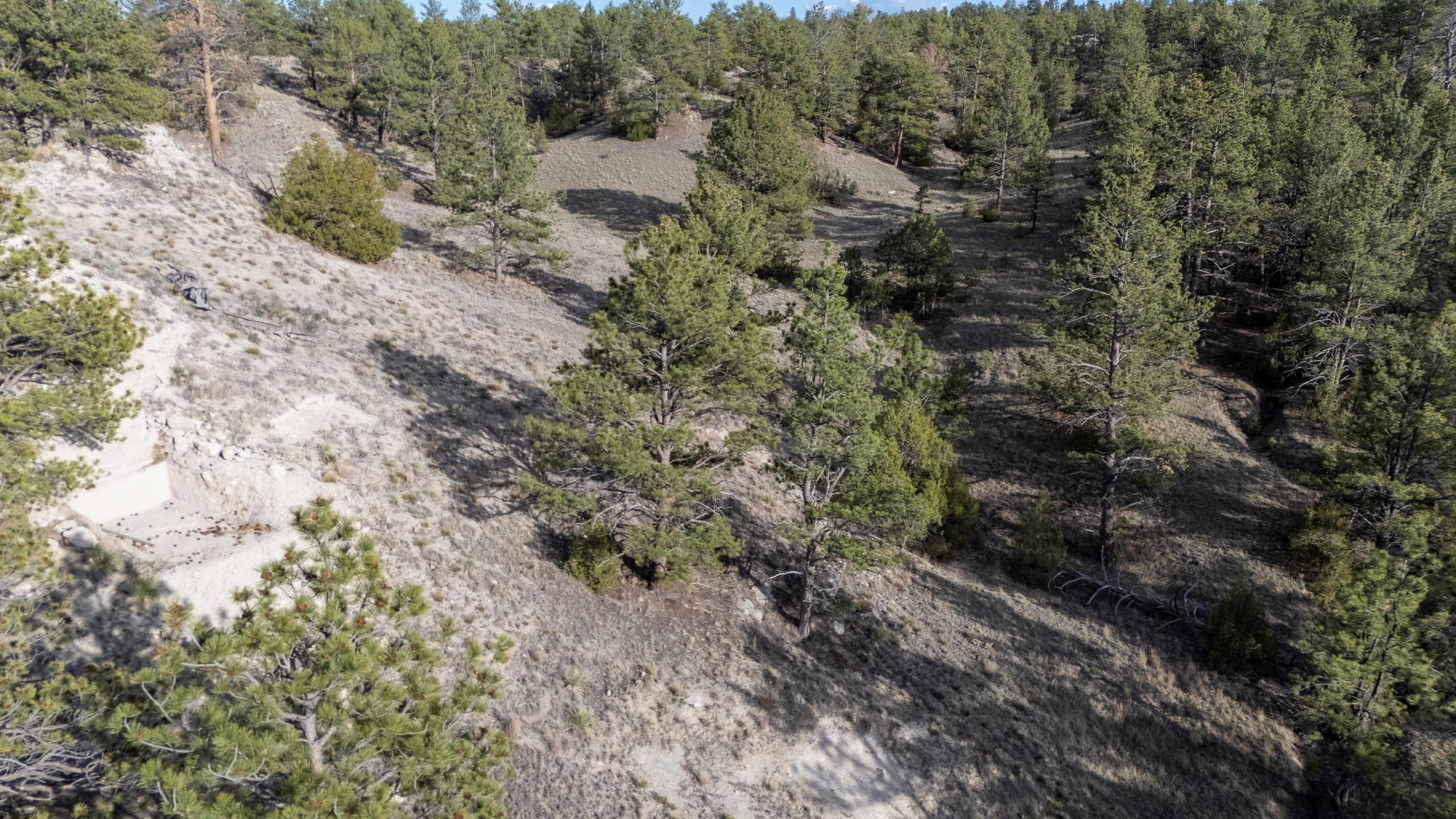 52 Wendover Road Guernsey, WY 82214 - Photo 11 of 42