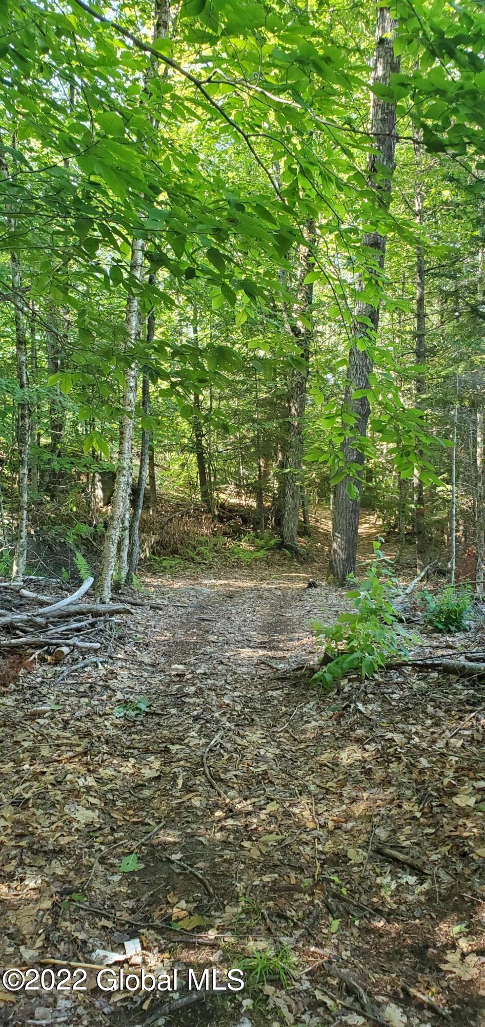 273 Johnson Road Adirondack, NY 12808 - Photo 29 of 31 20200805_162555