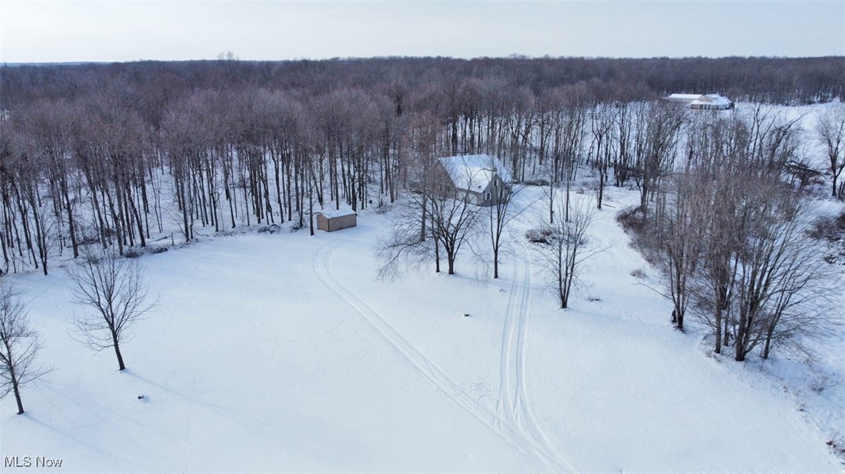 3718 Babcock Road Williamsfield, OH 44093 - Photo 4 of 31 View of snowy aerial view