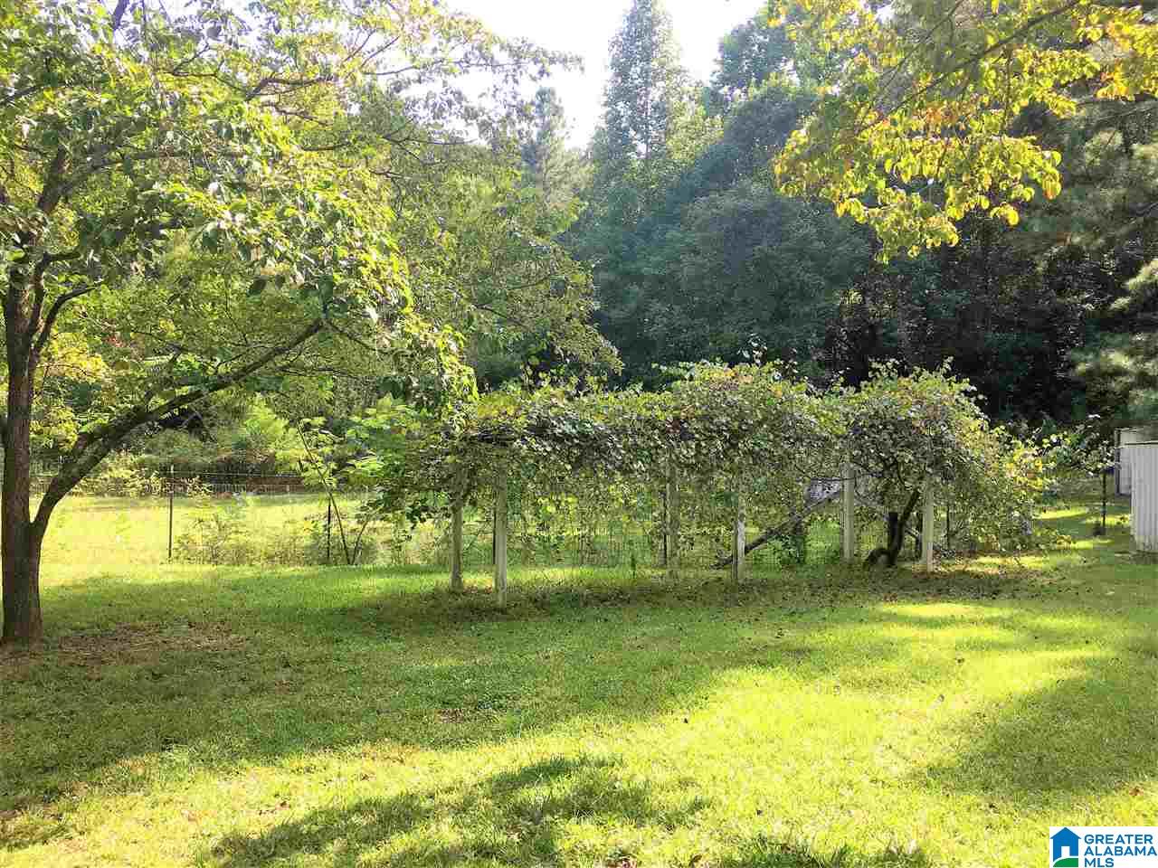 17226 Highway 78 Fruithurst, AL 36262 - Photo 11 of 33