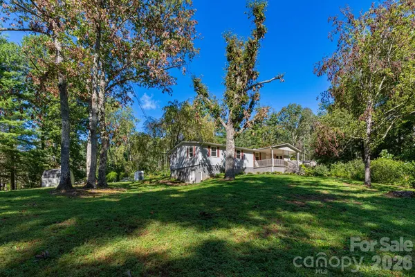 a view of a park with large trees