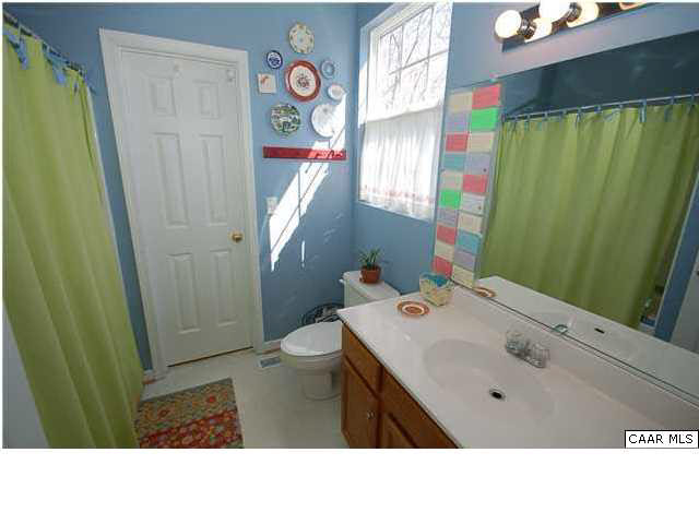 545 Jonquil Road Ruckersville, VA 22968 - Photo 15 of 26 a bathroom with a sink vanity mirror and toilet
