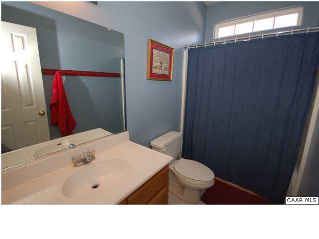 545 Jonquil Road Ruckersville, VA 22968 - Photo 20 of 26 a bathroom with a sink a toilet and shower
