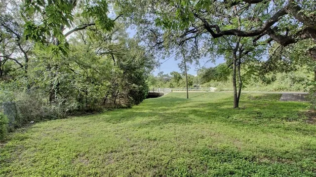 a view of a park with a tree