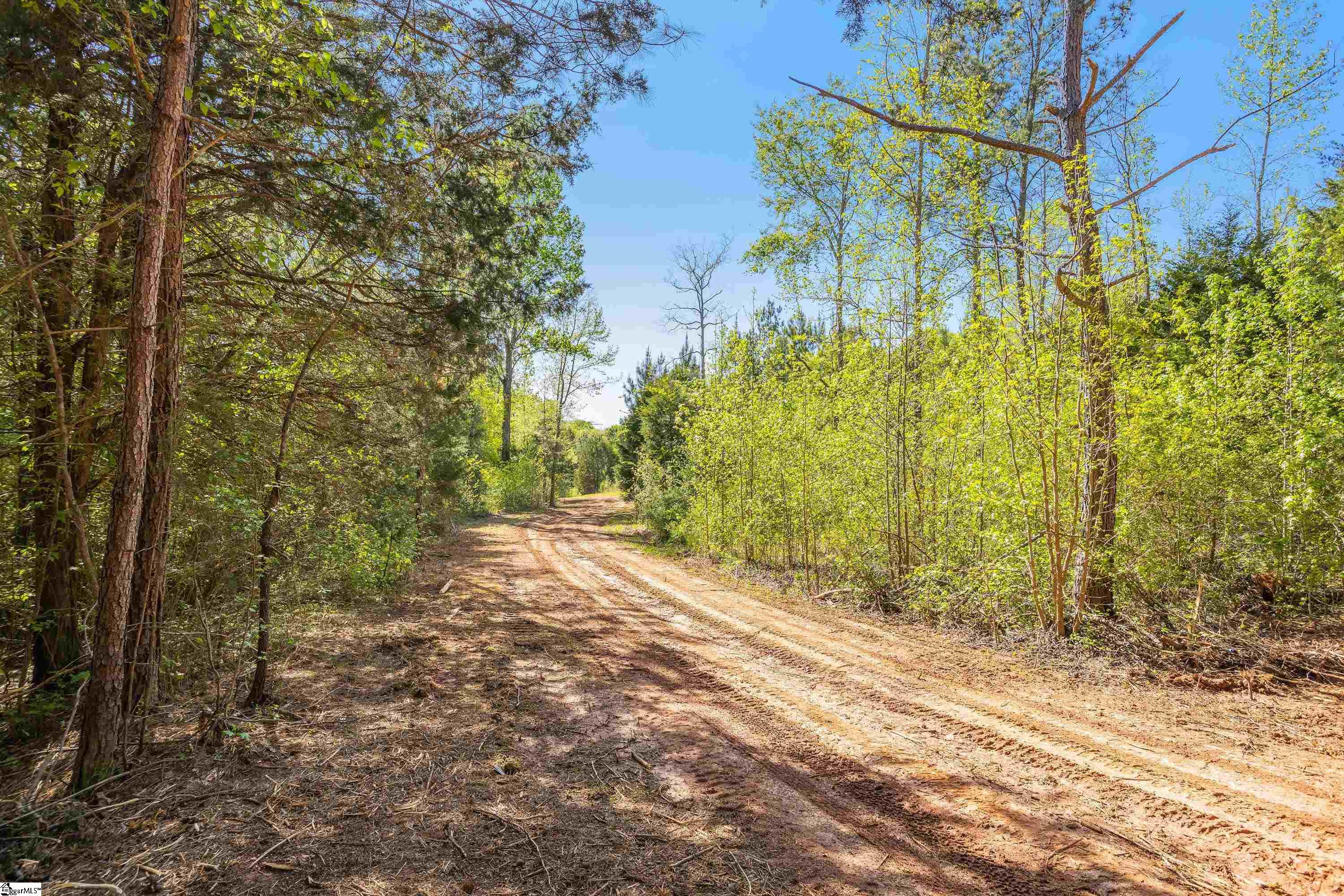 0 Mordeci Mountain Road, Unit LOT 10 Gray Court, SC 29645 - Photo 21 of 30 Gallery Image 21