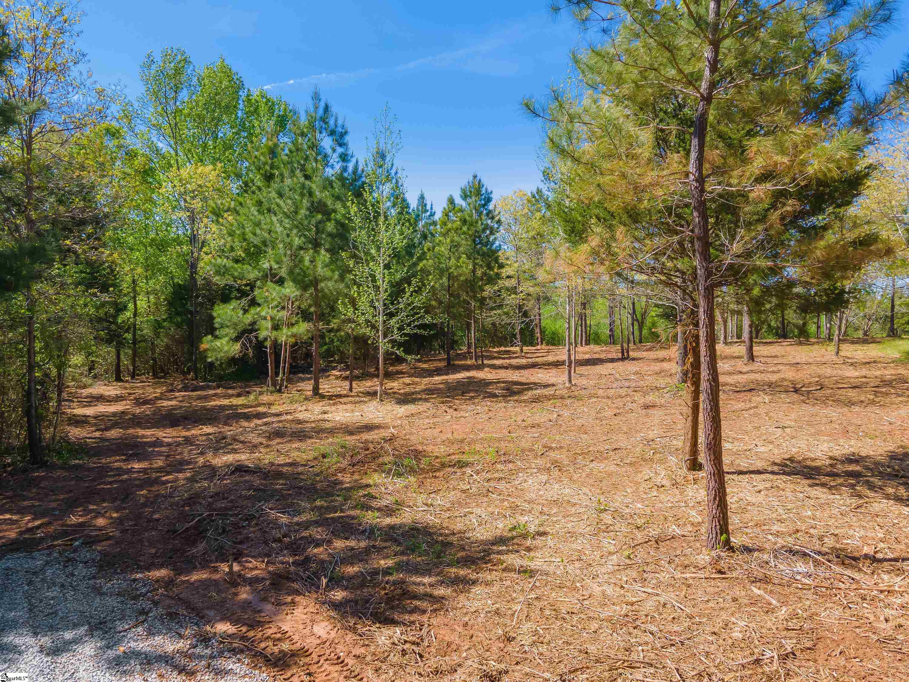 0 Mordeci Mountain Road, Unit LOT 10 Gray Court, SC 29645 - Photo 8 of 30 Gallery Image 8