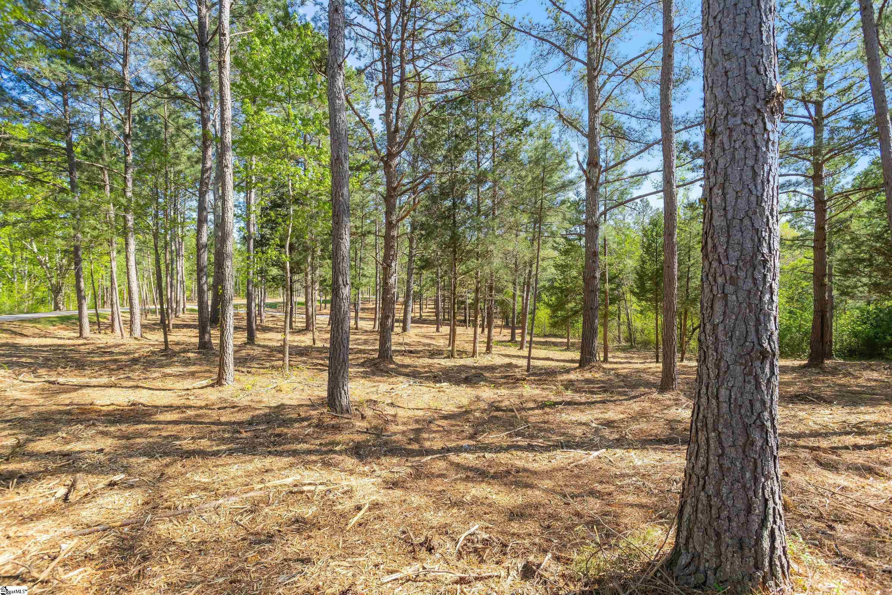 0 Mordeci Mountain Road, Unit LOT 10 Gray Court, SC 29645 - Photo 9 of 30 Gallery Image 9