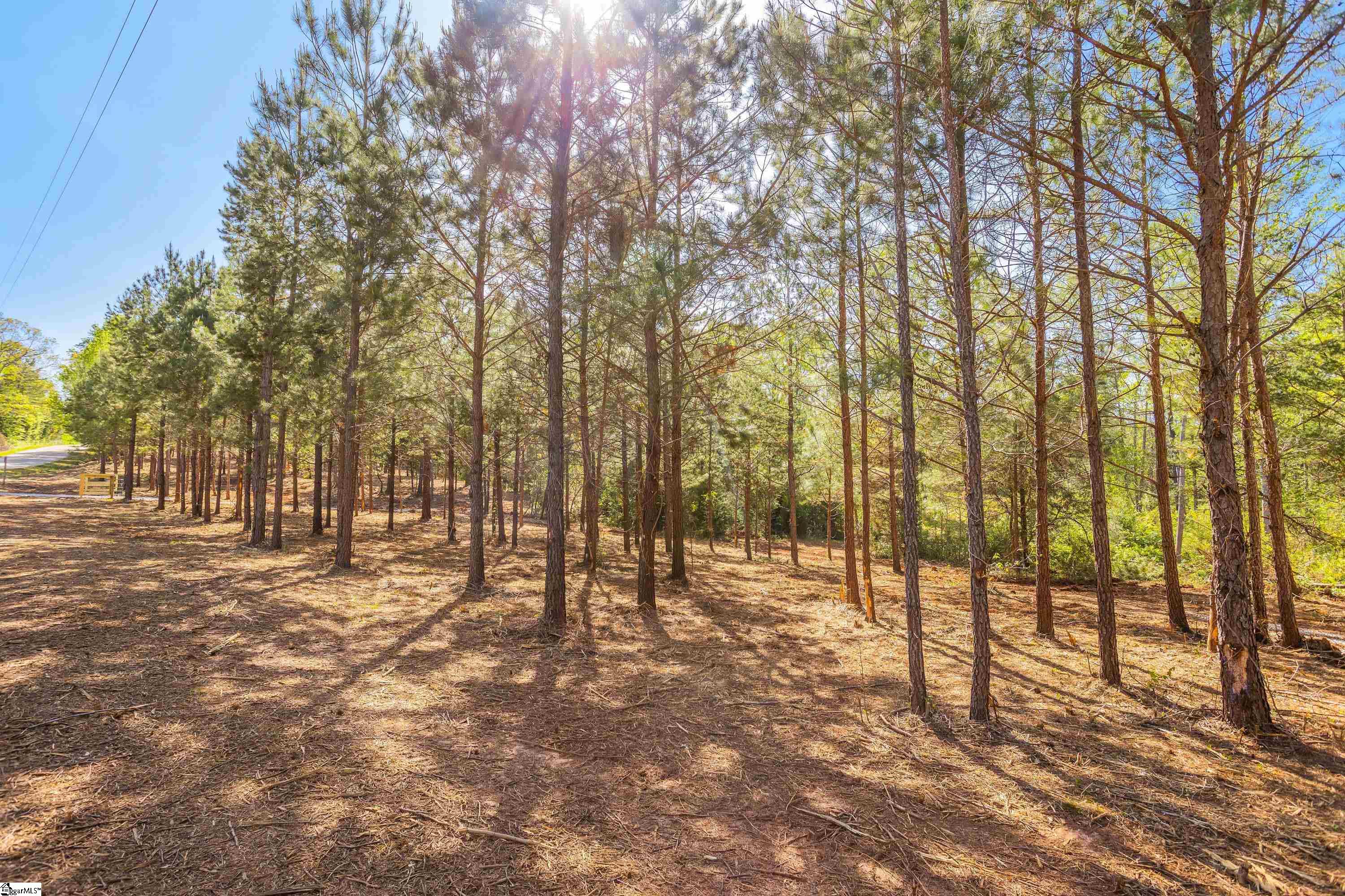 0 Mordeci Mountain Road, Unit LOT 10 Gray Court, SC 29645 - Photo 10 of 30 Gallery Image 10